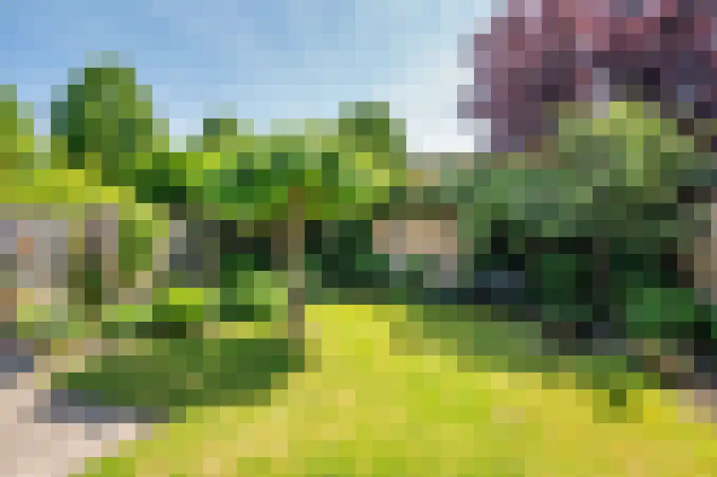 Heggewikke 3 Venlo thumbnail 50