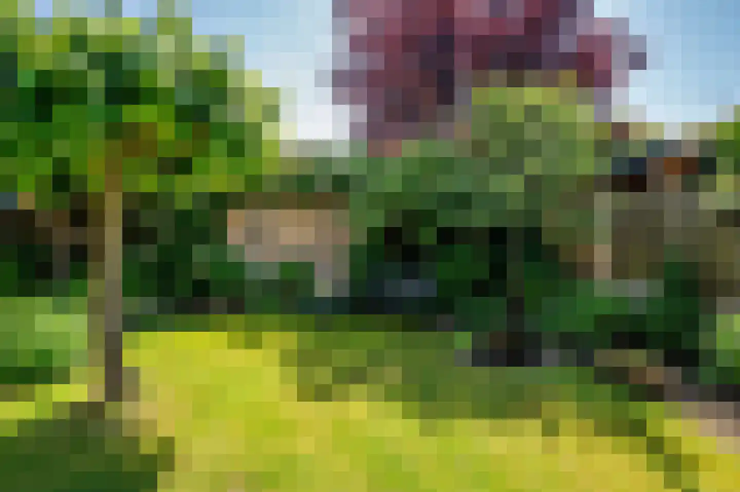 Heggewikke 3 Venlo thumbnail 51