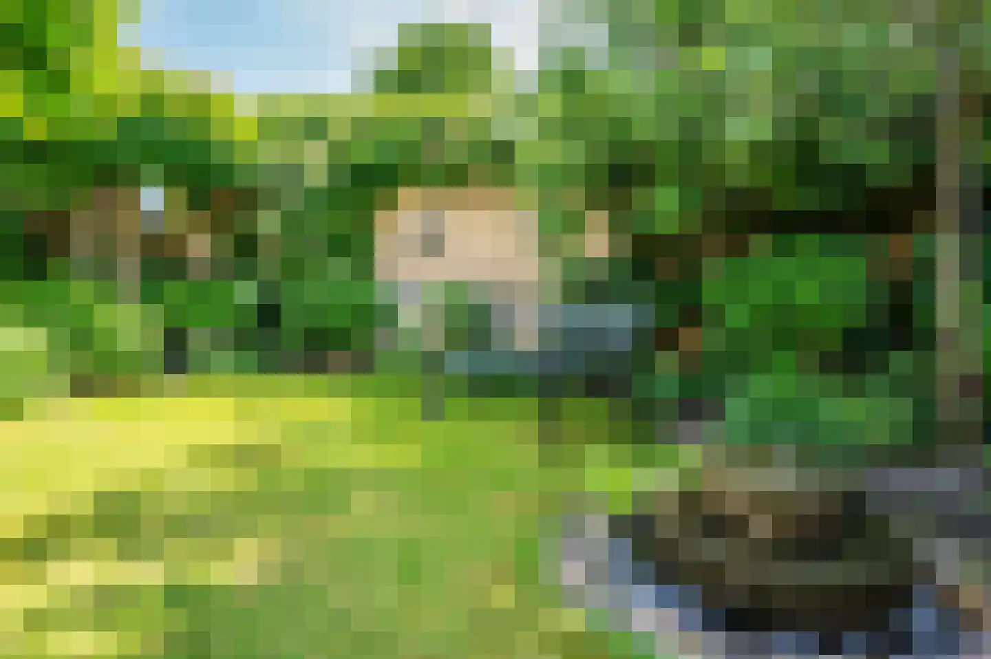 Heggewikke 3 Venlo thumbnail 52