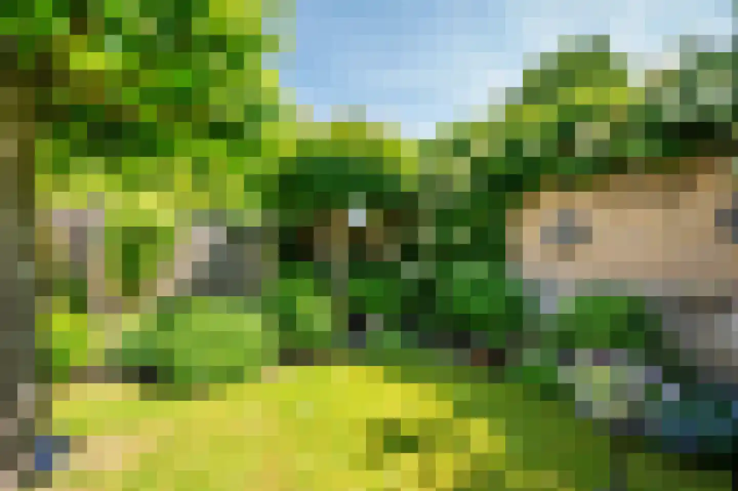 Heggewikke 3 Venlo thumbnail 53