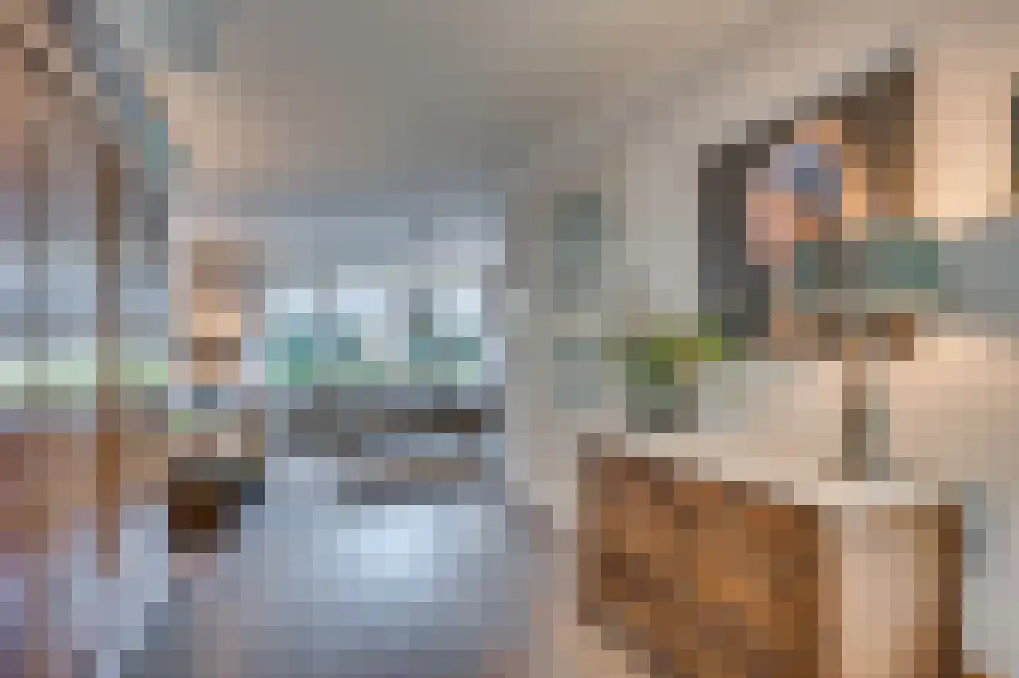Heggewikke 3 Venlo thumbnail 6