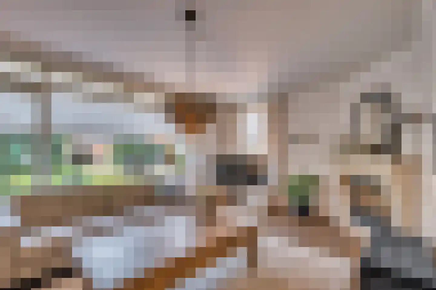 Heggewikke 3 Venlo thumbnail 9