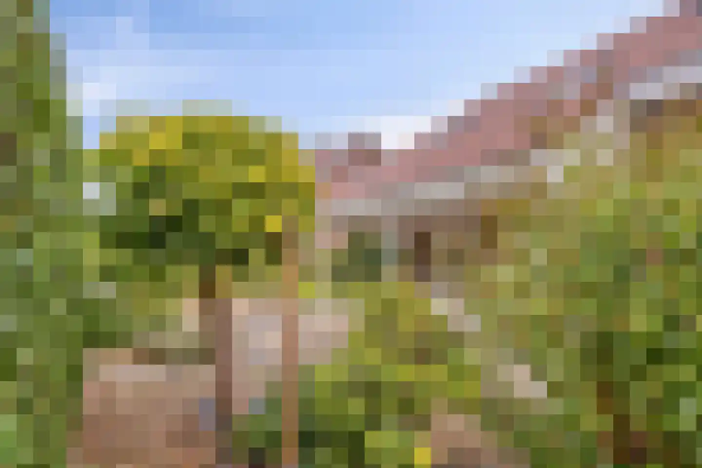 Heggewikke 30 Landgraaf thumbnail 33