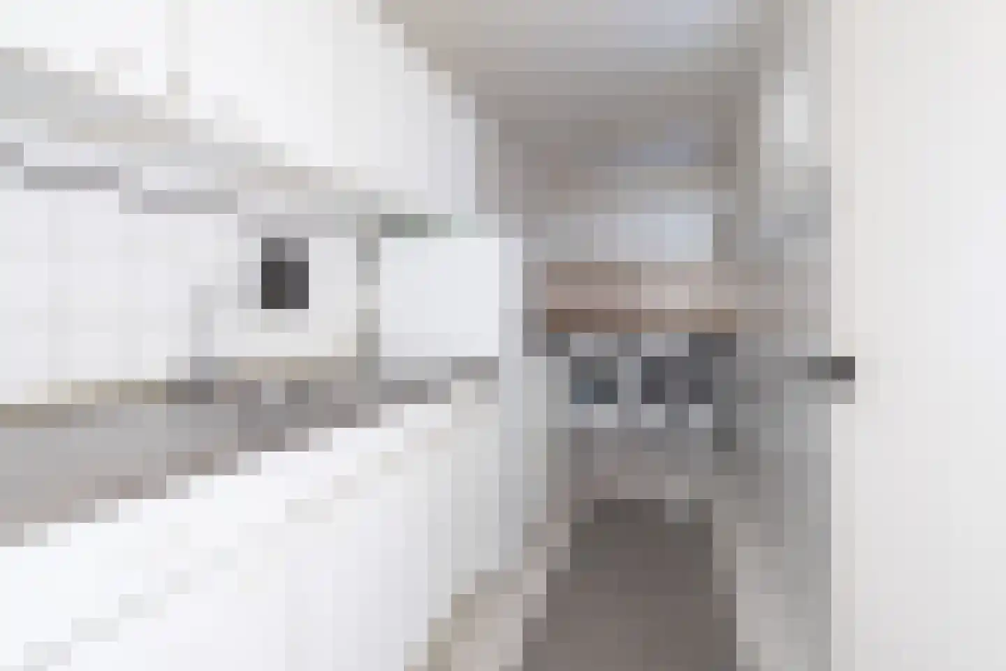 Heggewikke 30 Voerendaal thumbnail 12
