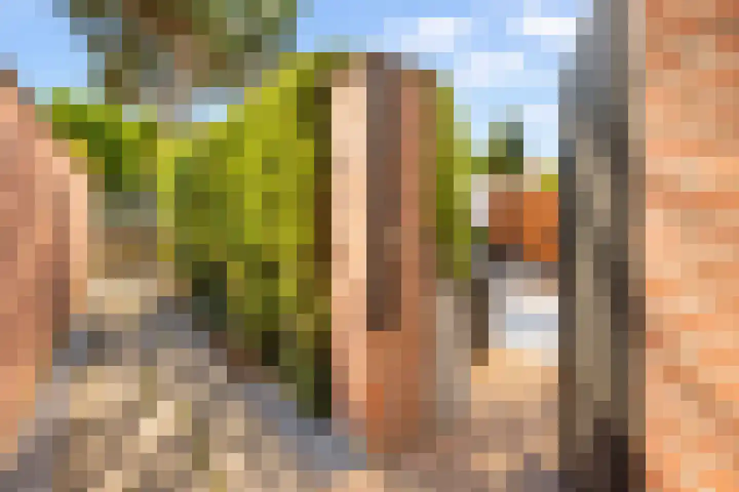 Heggewikke 30 Voerendaal thumbnail 23