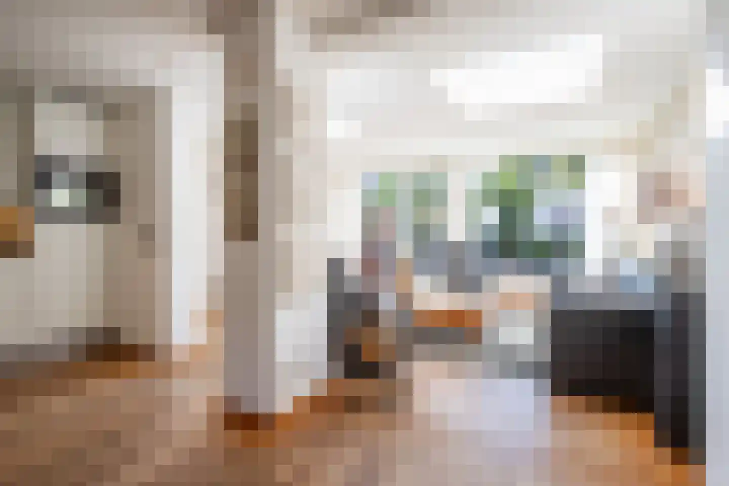 Heggewikke 30 Voerendaal thumbnail 7