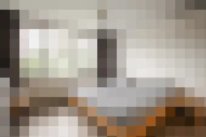 Heggewikke 31 Landgraaf thumbnail 13