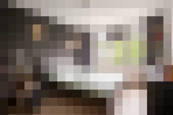 Heggewikke 31 Landgraaf thumbnail 14