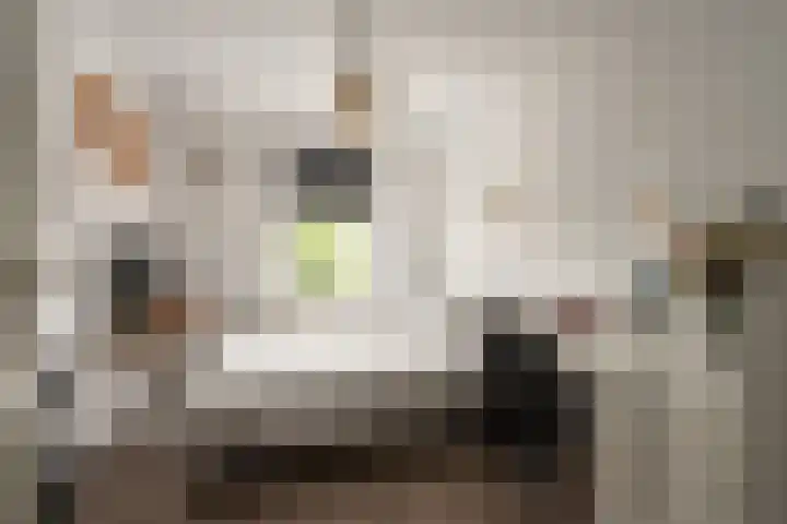 Heggewikke 31 Landgraaf thumbnail 16