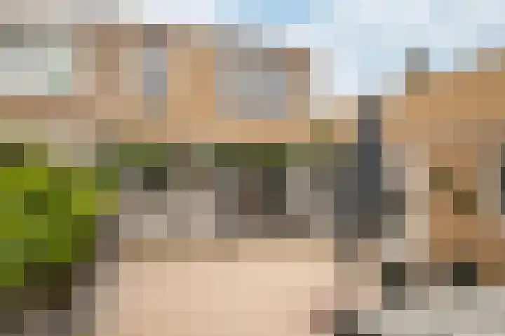 Heggewikke 31 Landgraaf thumbnail 20