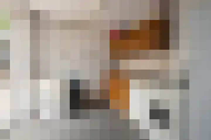 Heggewikke 31 Landgraaf thumbnail 21