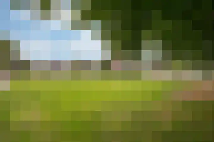 Heggewikke 31 Landgraaf thumbnail 25