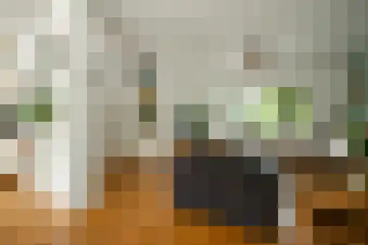 Heggewikke 31 Landgraaf thumbnail 7