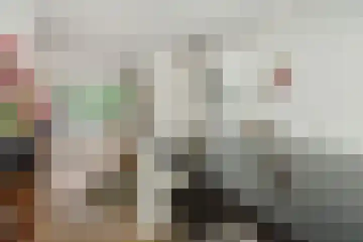 Heggewikke 4 's-Hertogenbosch thumbnail 10