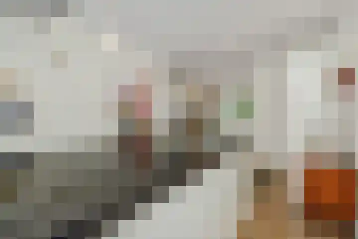 Heggewikke 4 's-Hertogenbosch thumbnail 11