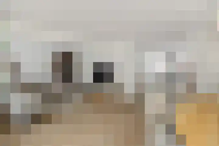 Heggewikke 4 's-Hertogenbosch thumbnail 13