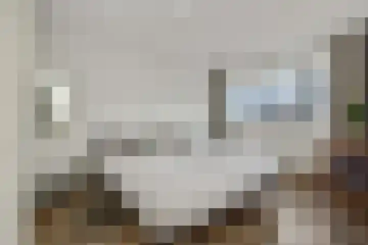 Heggewikke 4 's-Hertogenbosch thumbnail 17