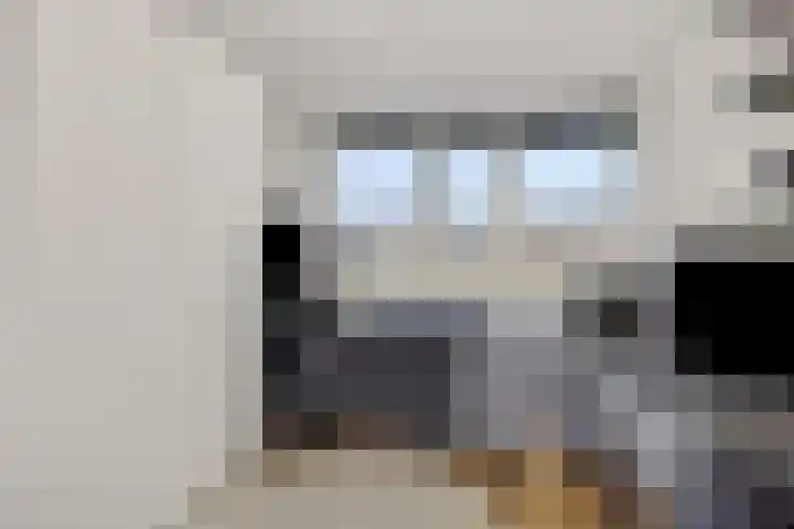 Heggewikke 4 's-Hertogenbosch thumbnail 20