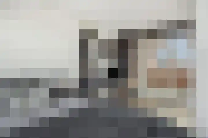 Heggewikke 4 's-Hertogenbosch thumbnail 21