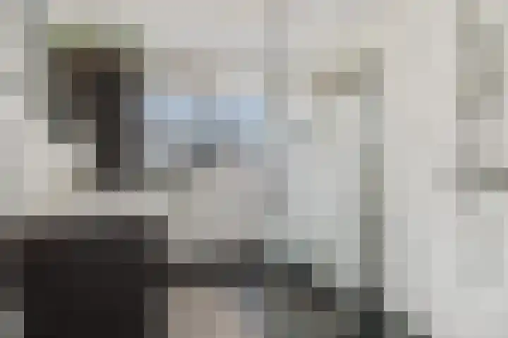 Heggewikke 4 's-Hertogenbosch thumbnail 22