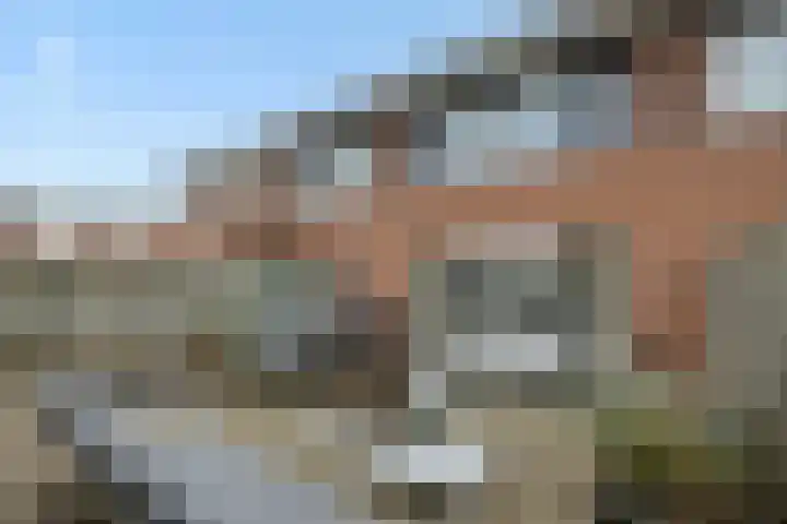 Heggewikke 4 's-Hertogenbosch thumbnail 24