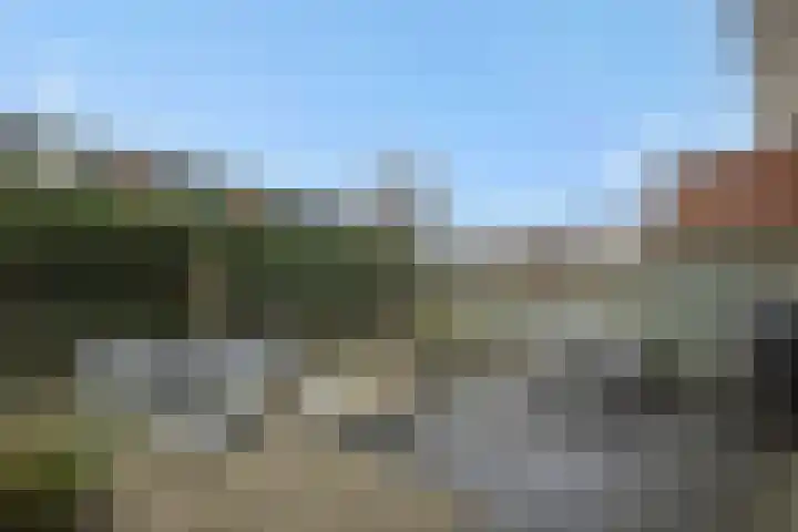 Heggewikke 4 's-Hertogenbosch thumbnail 25