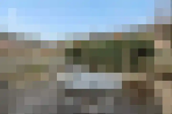 Heggewikke 4 's-Hertogenbosch thumbnail 26