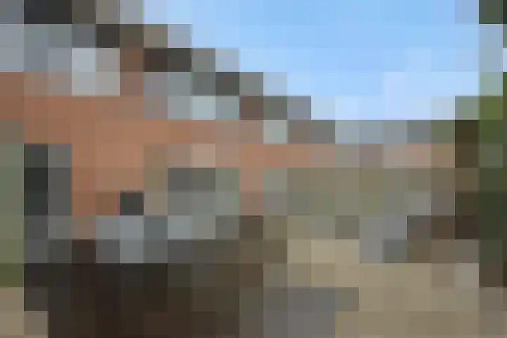 Heggewikke 4 's-Hertogenbosch thumbnail 27