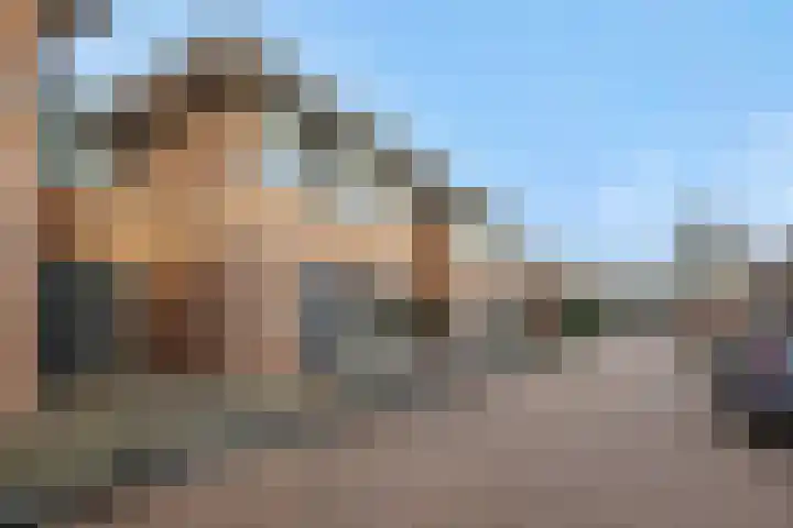 Heggewikke 4 's-Hertogenbosch thumbnail 28