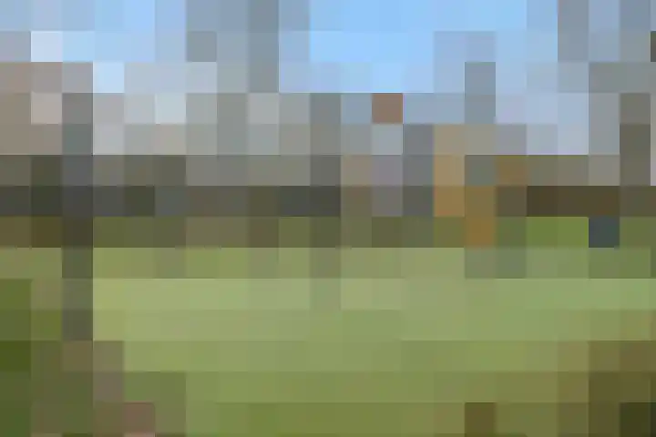 Heggewikke 4 's-Hertogenbosch thumbnail 30