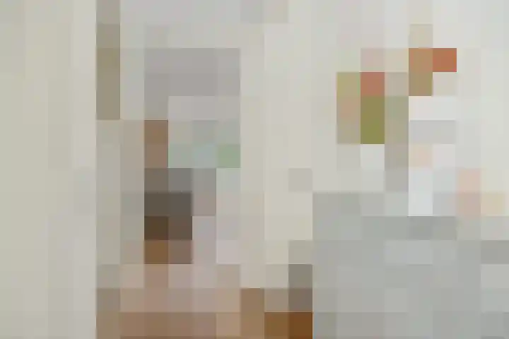 Heggewikke 4 's-Hertogenbosch thumbnail 5