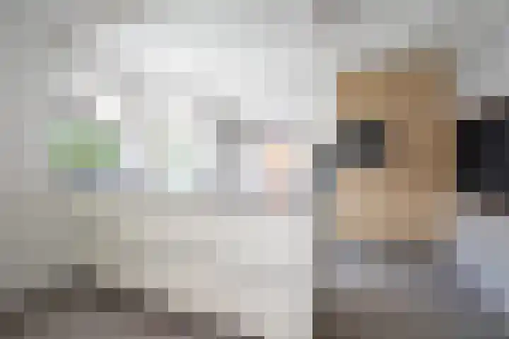Heggewikke 5 Voerendaal thumbnail 12