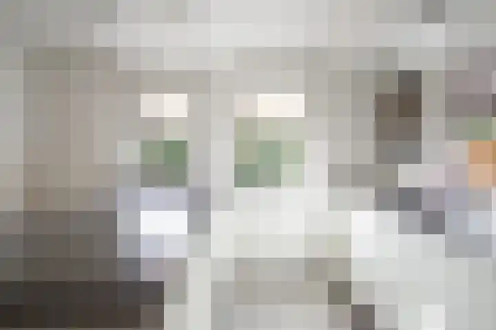 Heggewikke 5 Voerendaal thumbnail 13