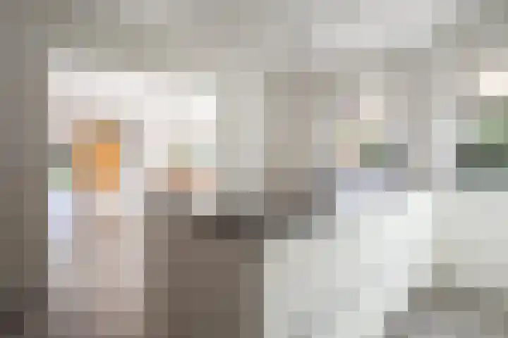 Heggewikke 5 Voerendaal thumbnail 14
