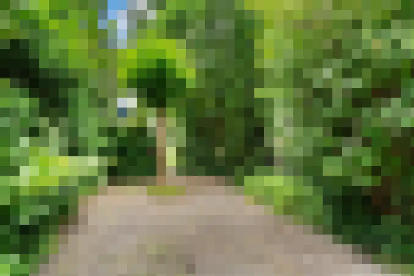 Heggewinde 12 Leeuwarden thumbnail 18