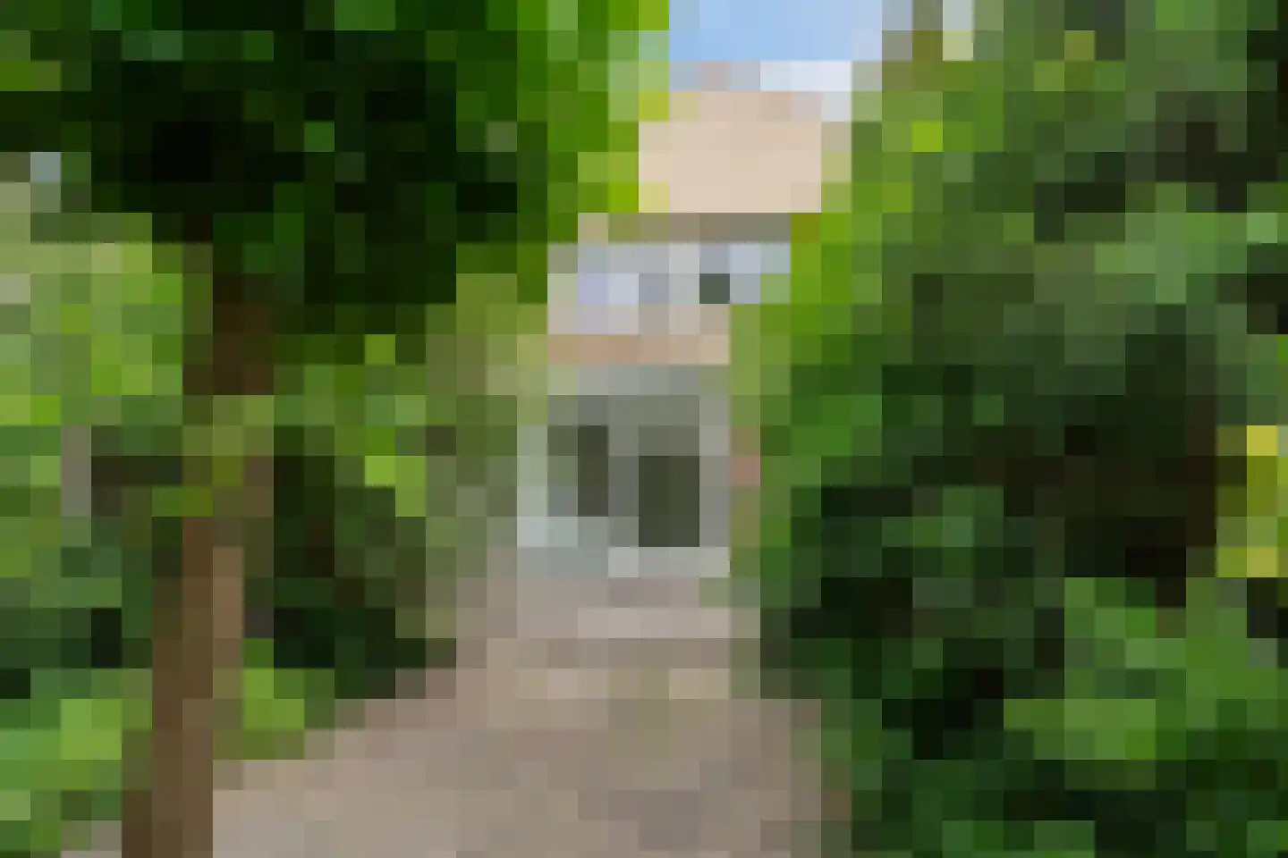 Heggewinde 12 Leeuwarden thumbnail 19