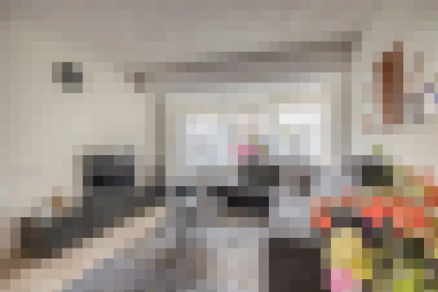 Heggewinde 13 Waddinxveen thumbnail 13