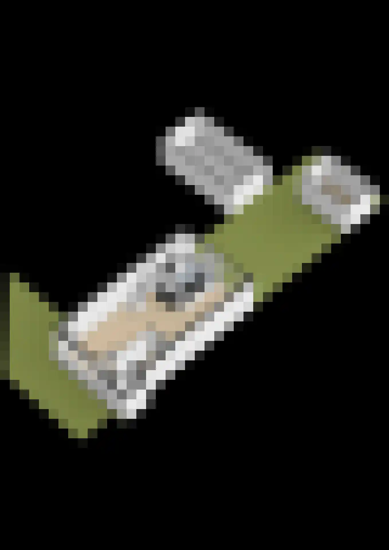 Heggewinde 13 Waddinxveen thumbnail 37