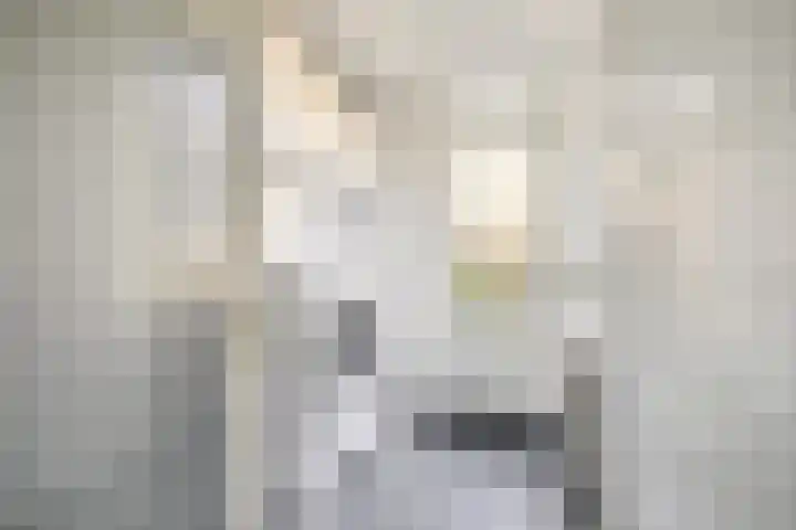 Heggewinde 19 Waddinxveen thumbnail 12