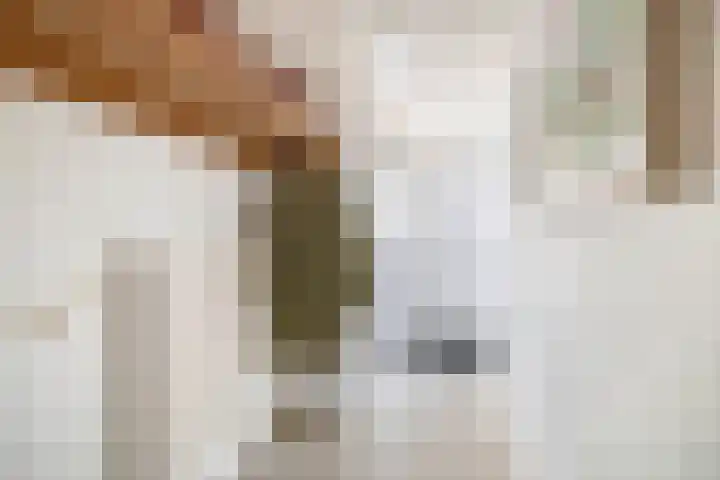 Heggewinde 19 Waddinxveen thumbnail 14