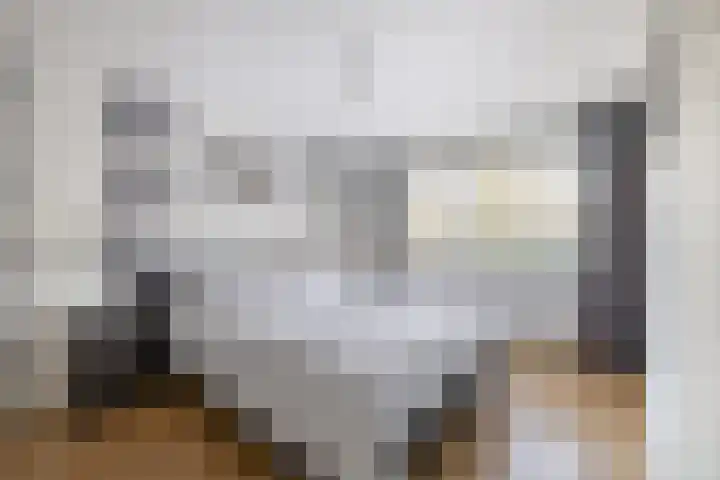 Heggewinde 19 Waddinxveen thumbnail 16