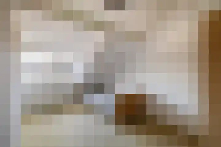 Heggewinde 19 Waddinxveen thumbnail 27
