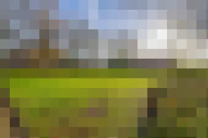 Heggewinde 19 Waddinxveen thumbnail 35