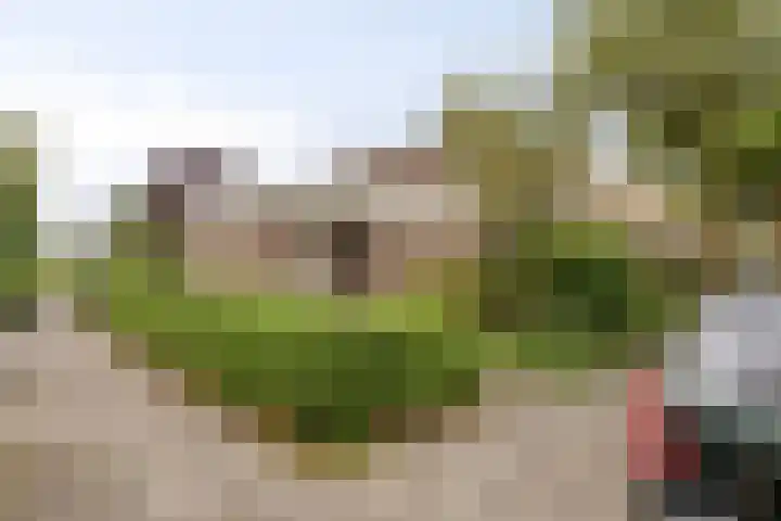 Heggewinde 53 in Leeuwarden