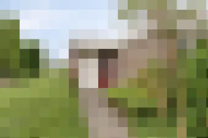 Heggewinde 53 Leeuwarden thumbnail 5