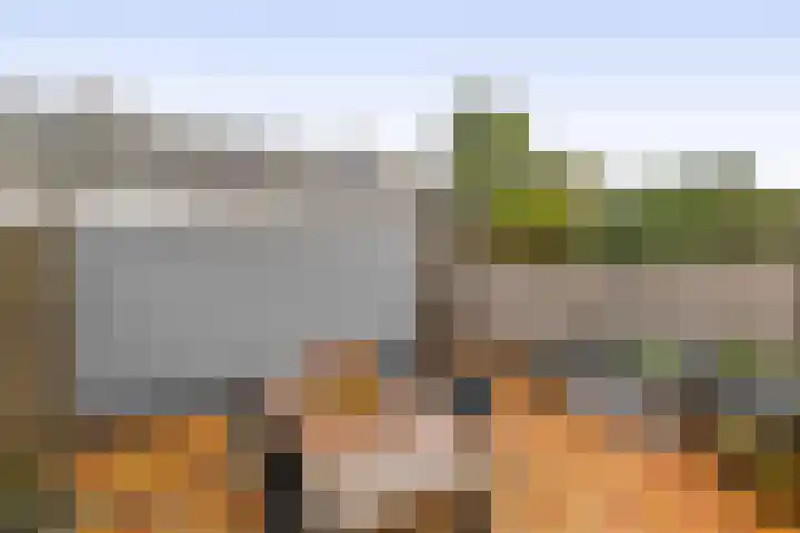 Heggewinde 6 Waddinxveen thumbnail 12