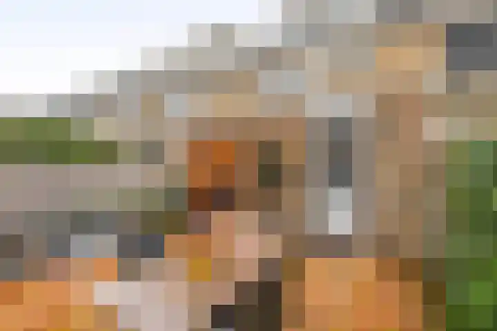 Heggewinde 6 Waddinxveen thumbnail 16