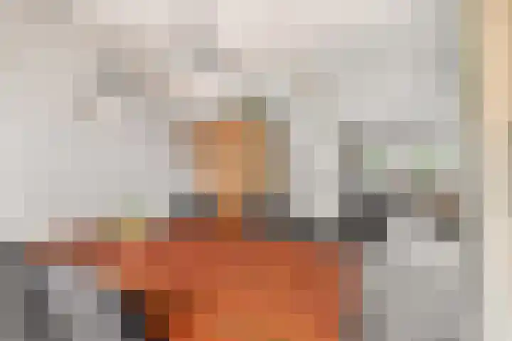 Heggewinde 6 Waddinxveen thumbnail 9