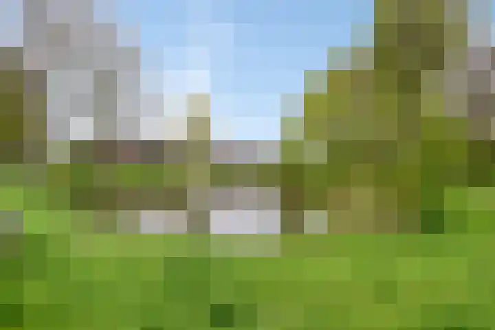 Heggewinde 71 Leeuwarden thumbnail 35