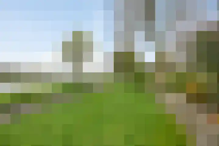 Heggewinde 71 Leeuwarden thumbnail 37